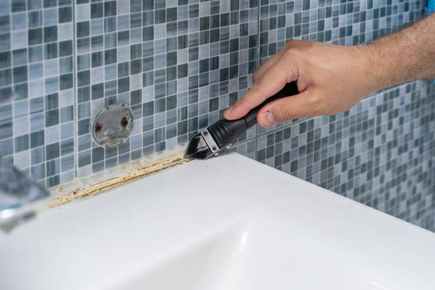 Best Health and Safety Mold Remediation in Winchester, IL