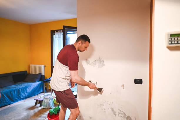 Best Mold Remediation for Specific Building Types in Winchester, IL